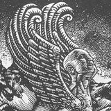 Androsphinx