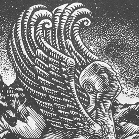 Androsphinx