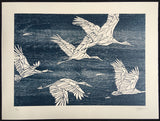 Storks