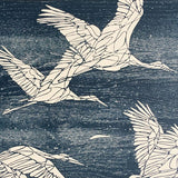 Storks