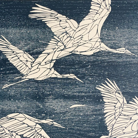 Storks